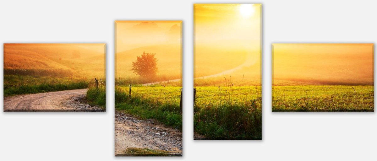 Canvas print Multi-part Path in the morning haze M0384