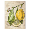 Tableau sur toile Fruits & légumes portrait citron dessin cuisine M0389