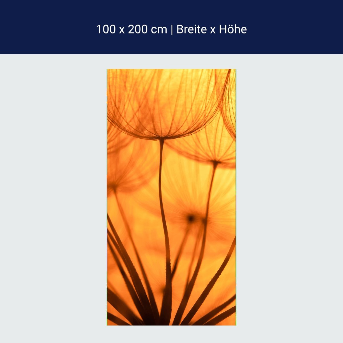 Door wallpaper dandelion orange M0390