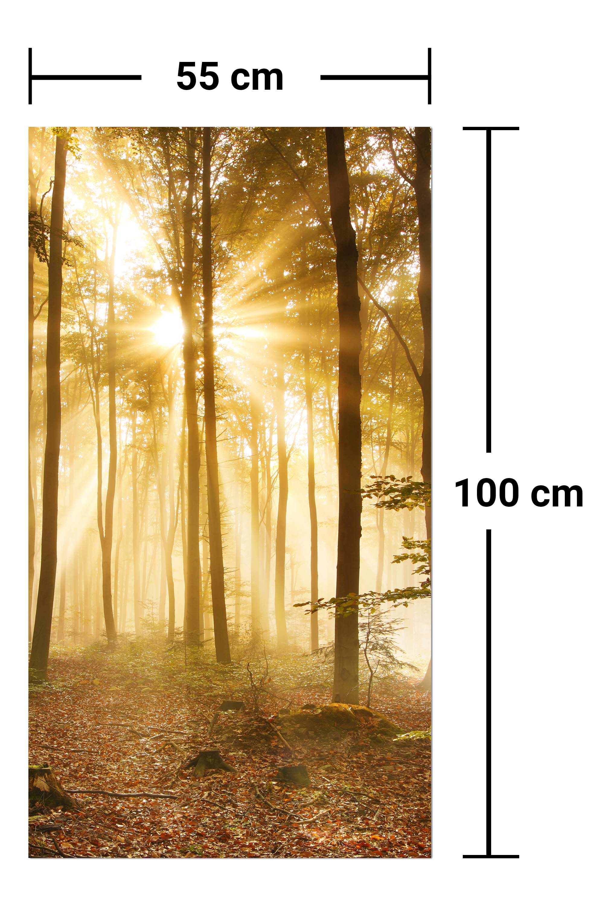 Garderobe Wald am Morgen M0391 entdecken - Bild 7