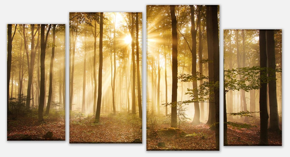 Canvas Print Panel Forest in the morning M0391