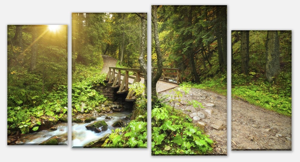 Canvas print Multi-part forest path with stream M0397