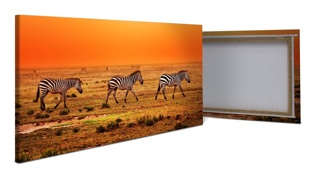 Leinwandbild Zebras in der Savanne M0403 - Bild 1