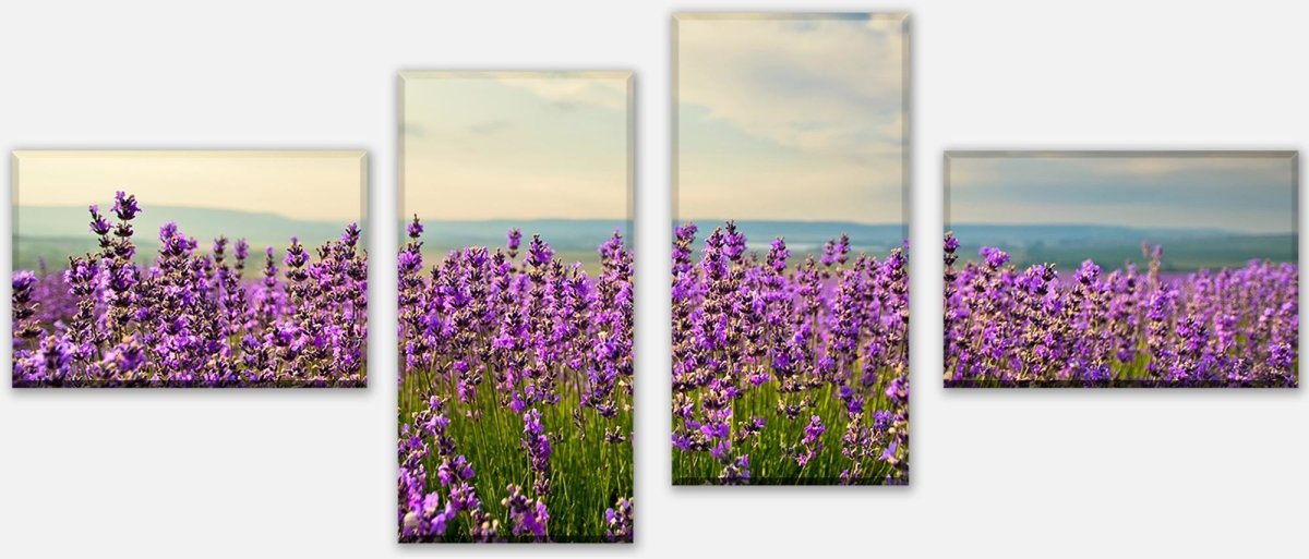Canvas print Divider Lavender M0411