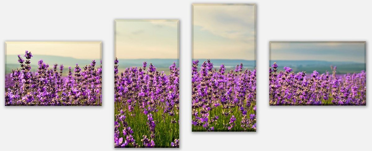 Canvas print Divider Lavender M0411