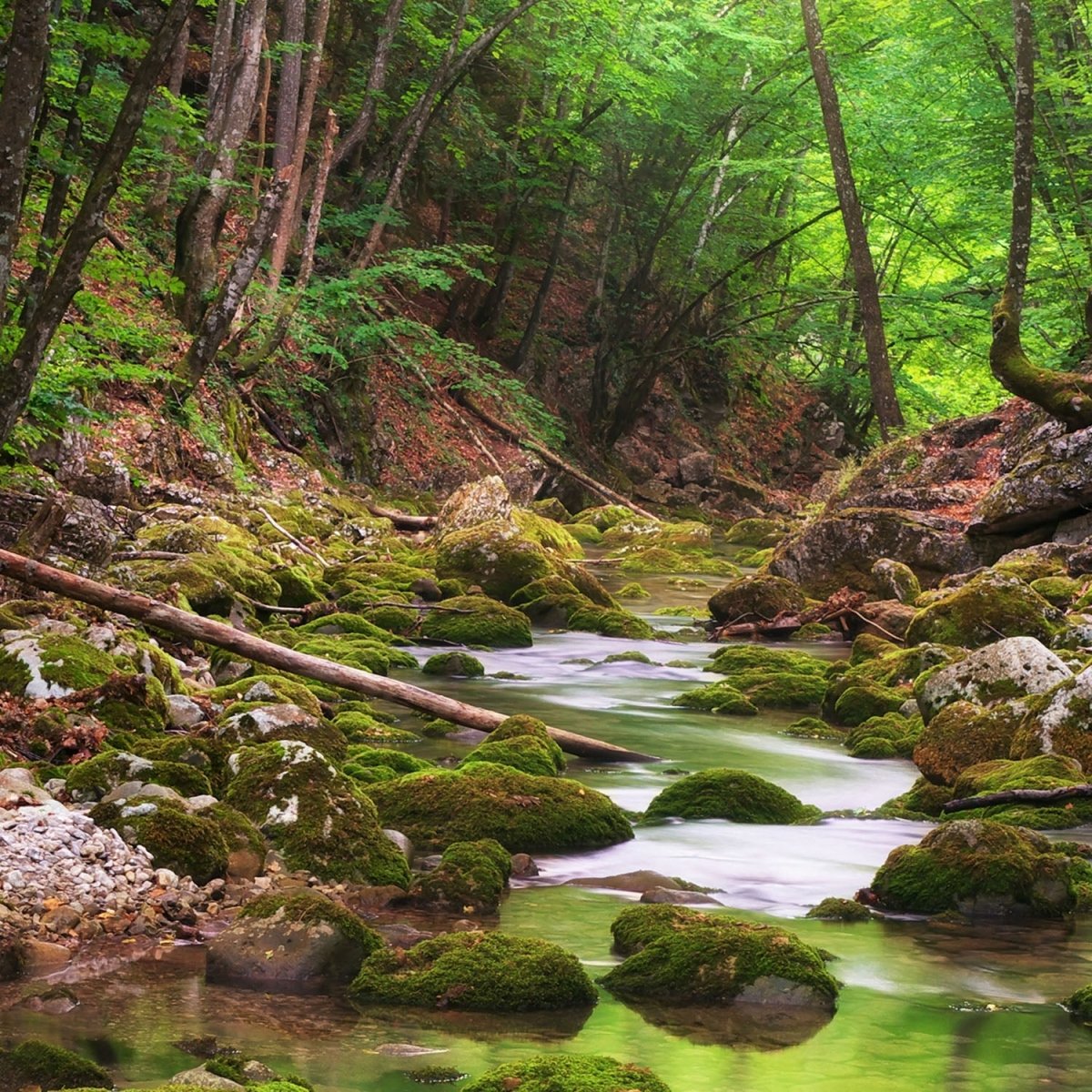 Beistelltisch Fluss im Wald M0460 entdecken - Bild 2
