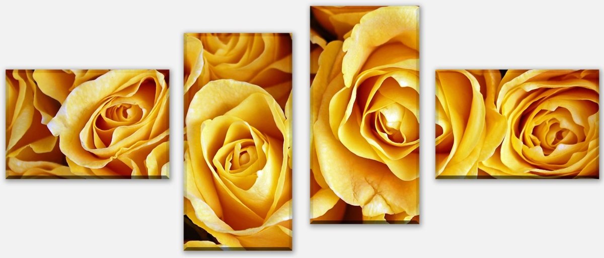 Stretcher Canvas Print Yellow Roses M0462