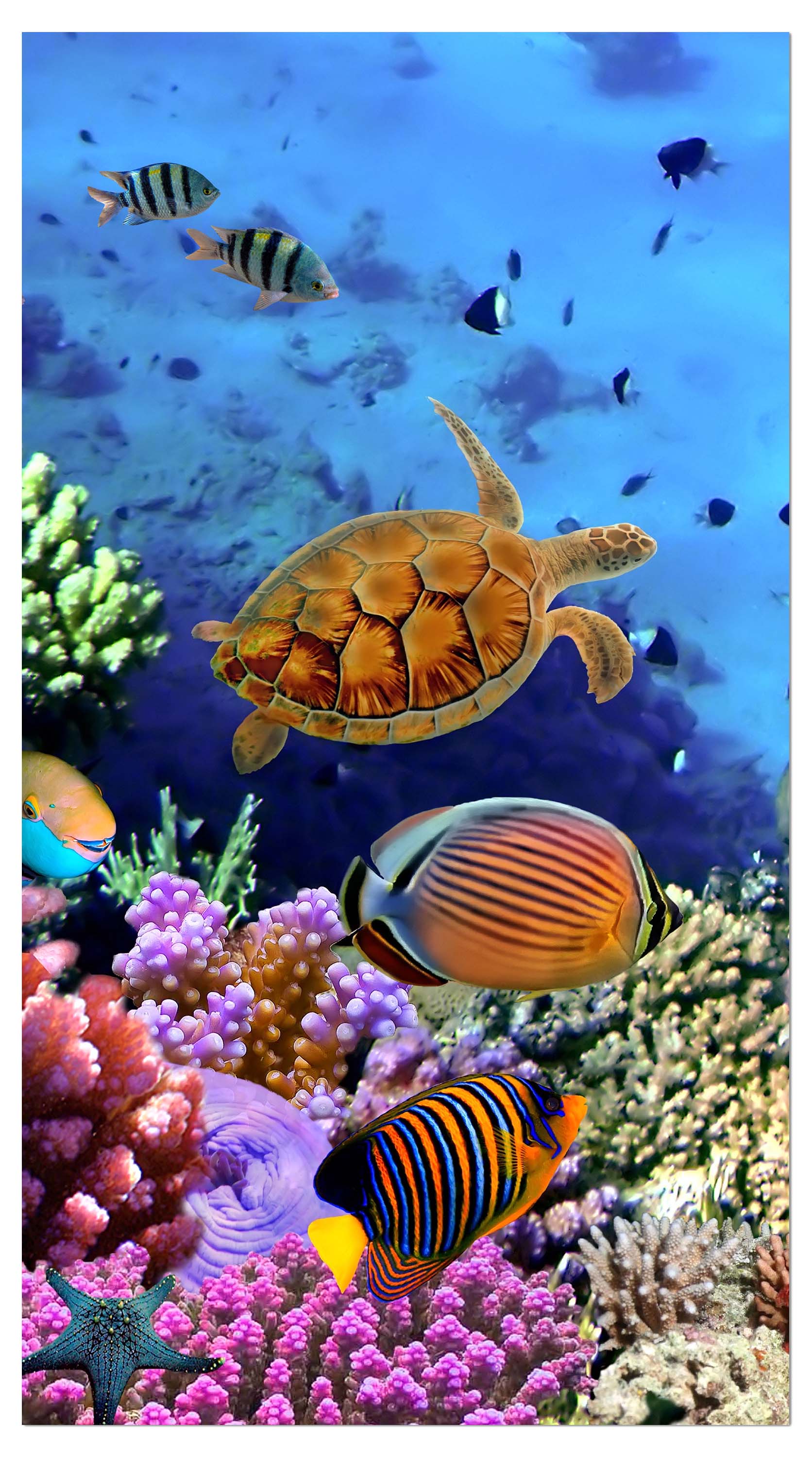 Garderobe Korallenriff mit Fischen M0480 entdecken - Bild 4