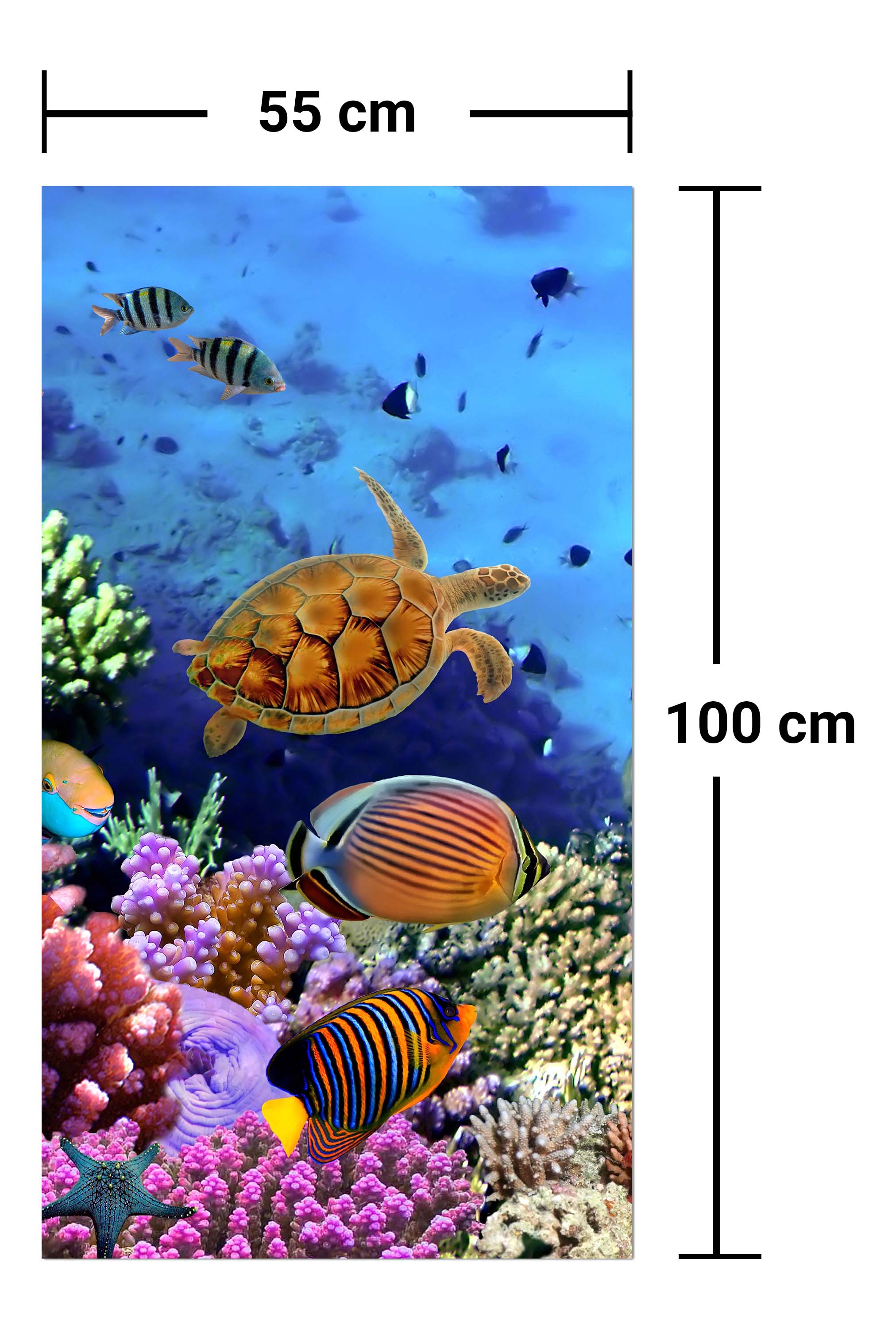 Garderobe Korallenriff mit Fischen M0480 entdecken - Bild 7