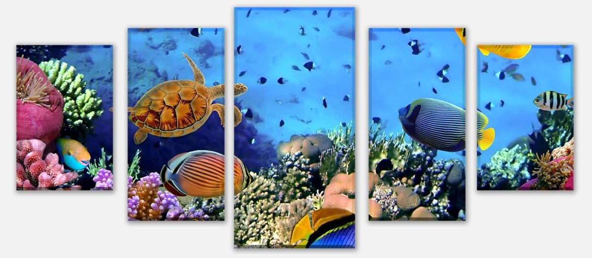 Leinwandbild Mehrteiler Korallenriff mit Fischen M0480 entdecken - Bild 1