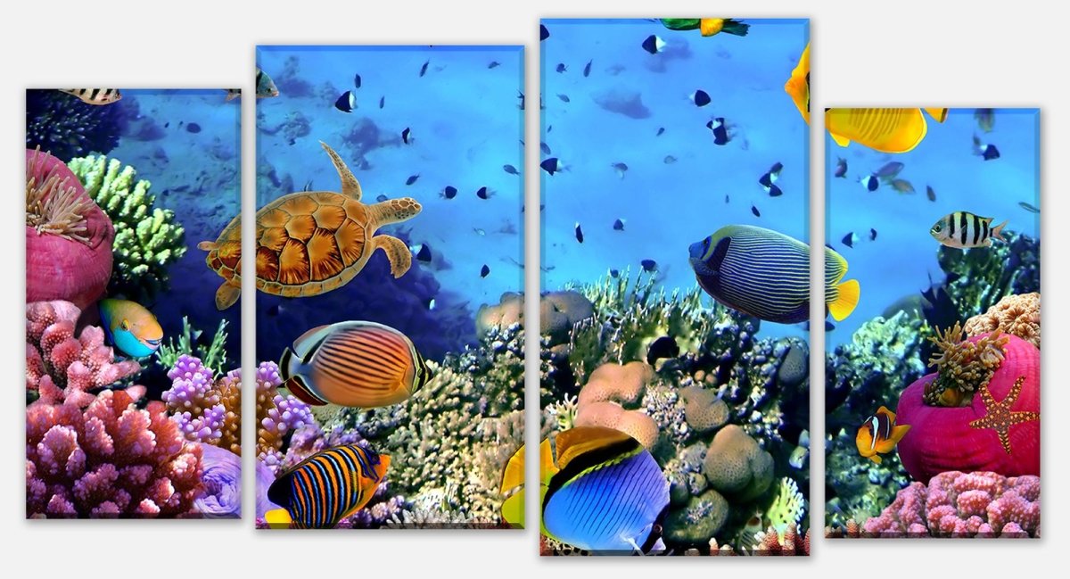 Leinwandbild Mehrteiler Korallenriff mit Fischen M0480