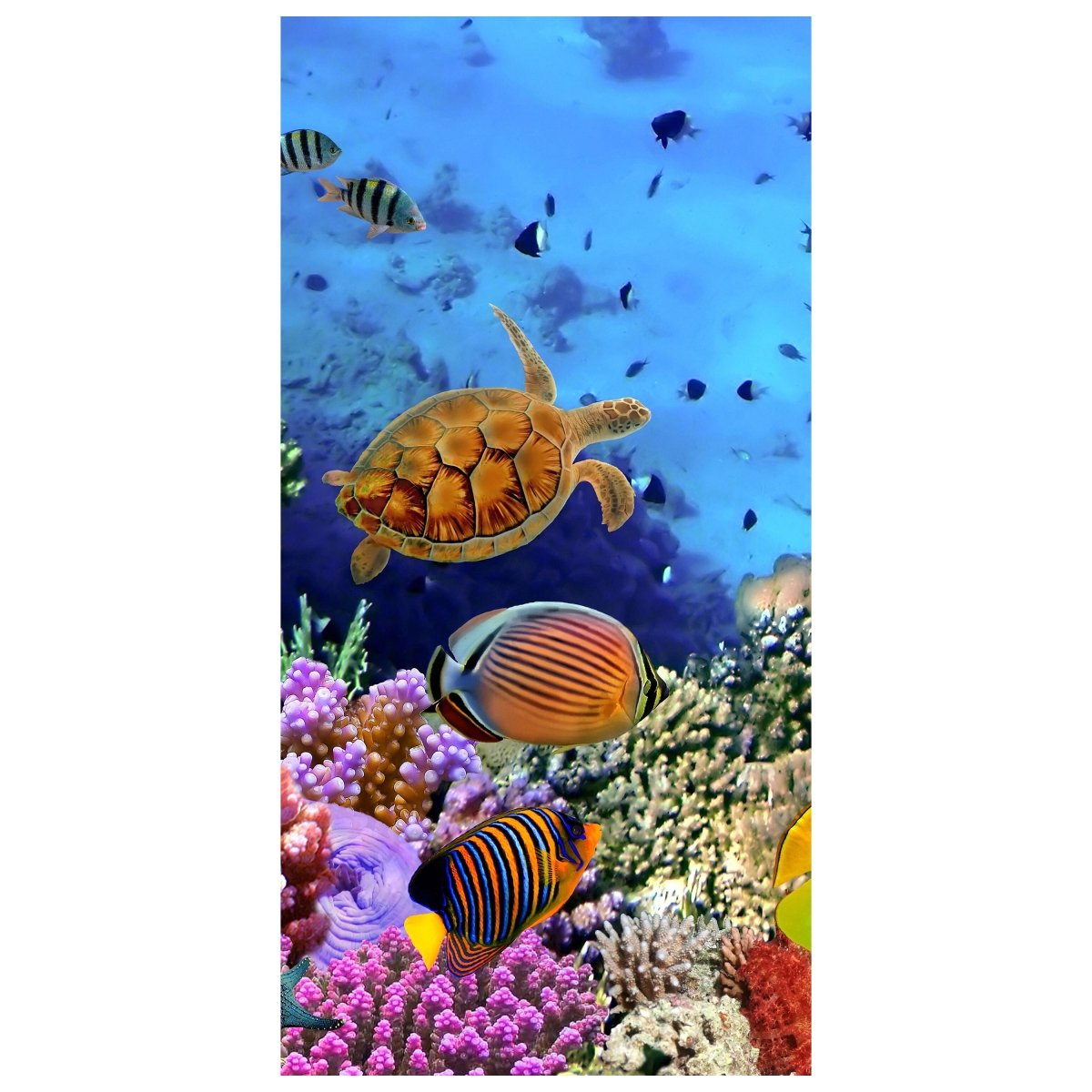 Türtapete Korallenriff mit Fischen M0480 - Bild 2