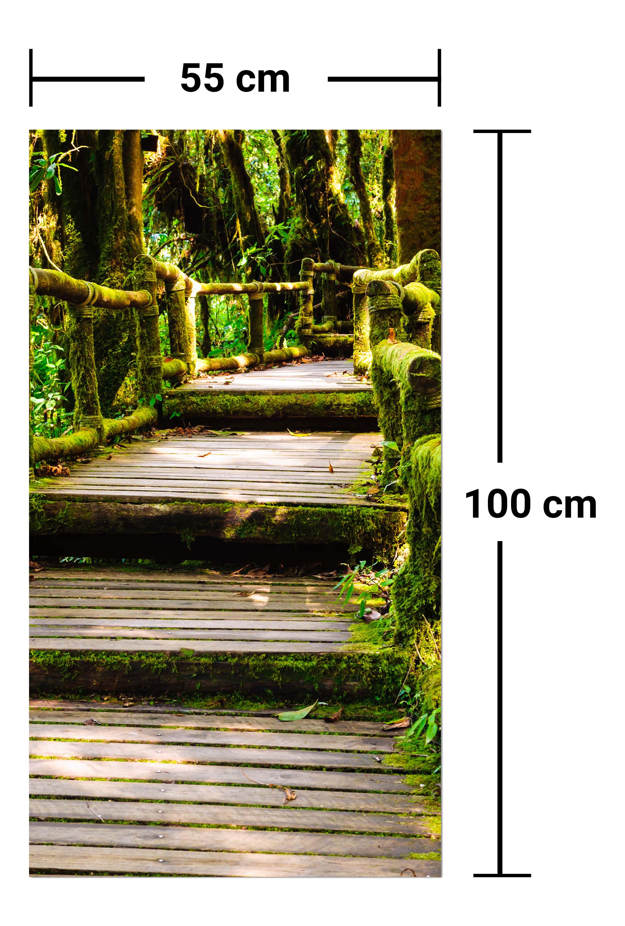 Garderobe Treppe im Urwald M0486 entdecken - Bild 7
