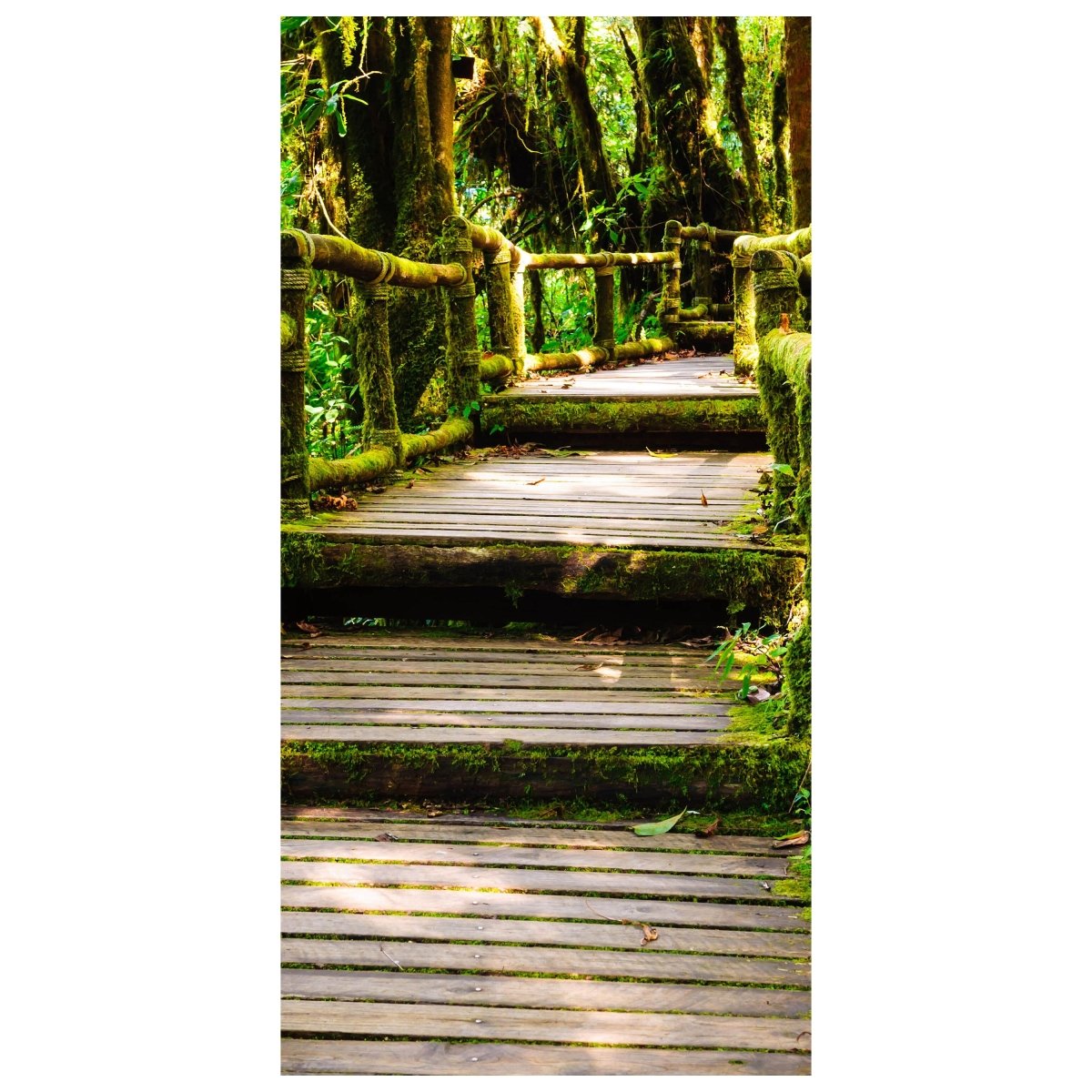 Türtapete Treppe im Urwald M0486 - Bild 2
