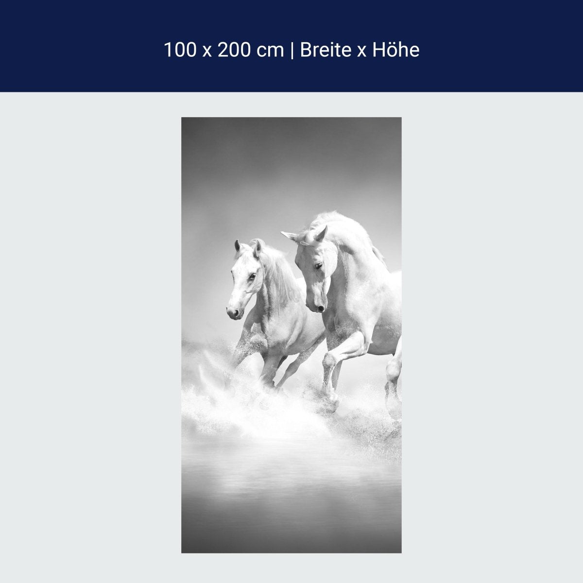 Shower screen white dream horses M0489