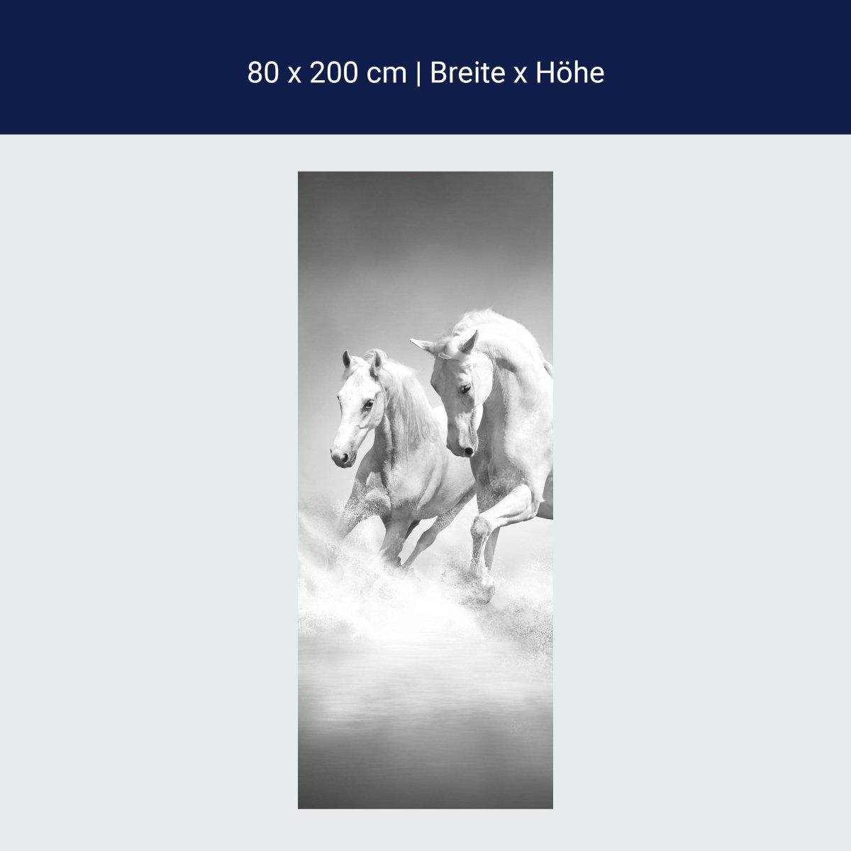 Shower screen white dream horses M0489