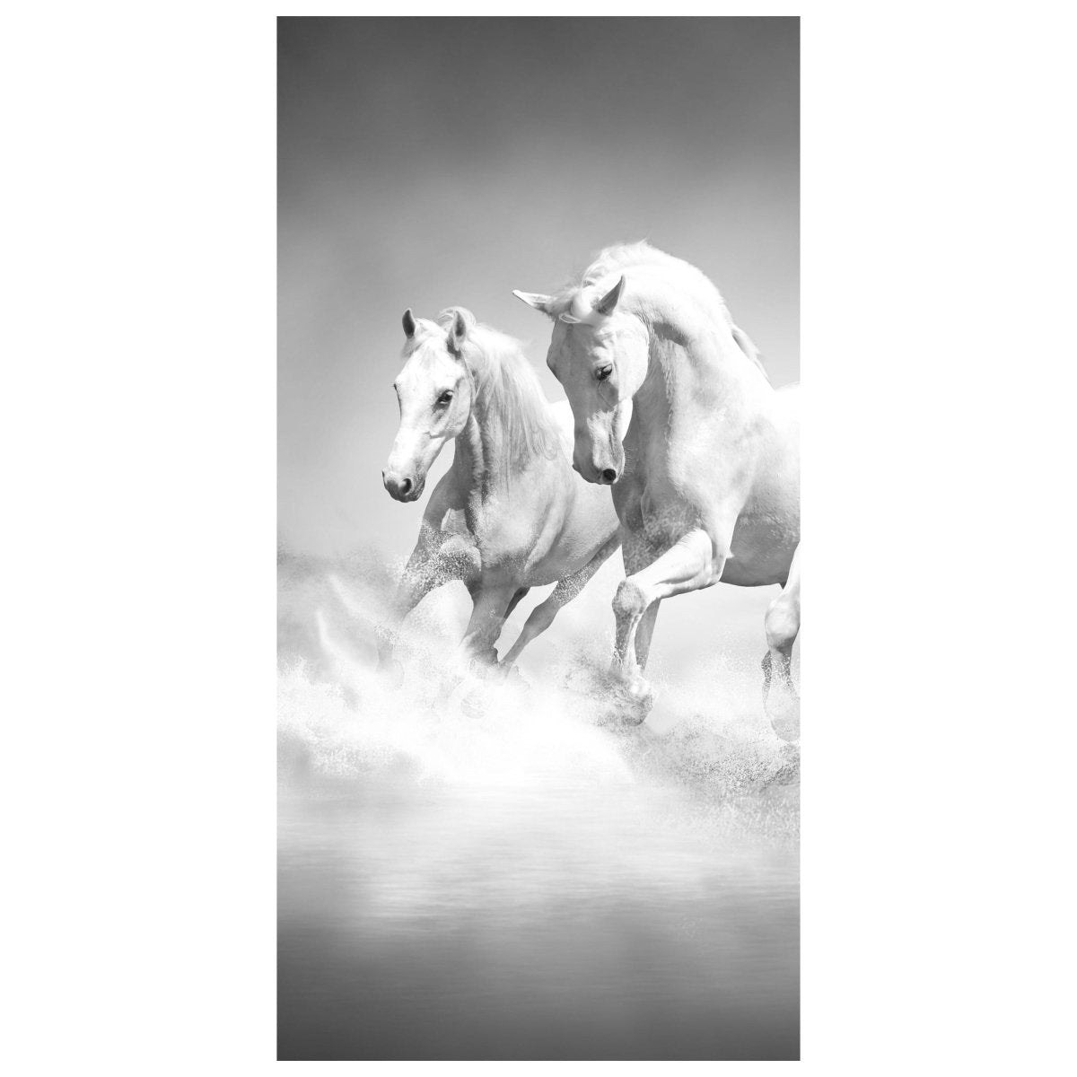 Türtapete weiße Traumpferde M0489 - Bild 2