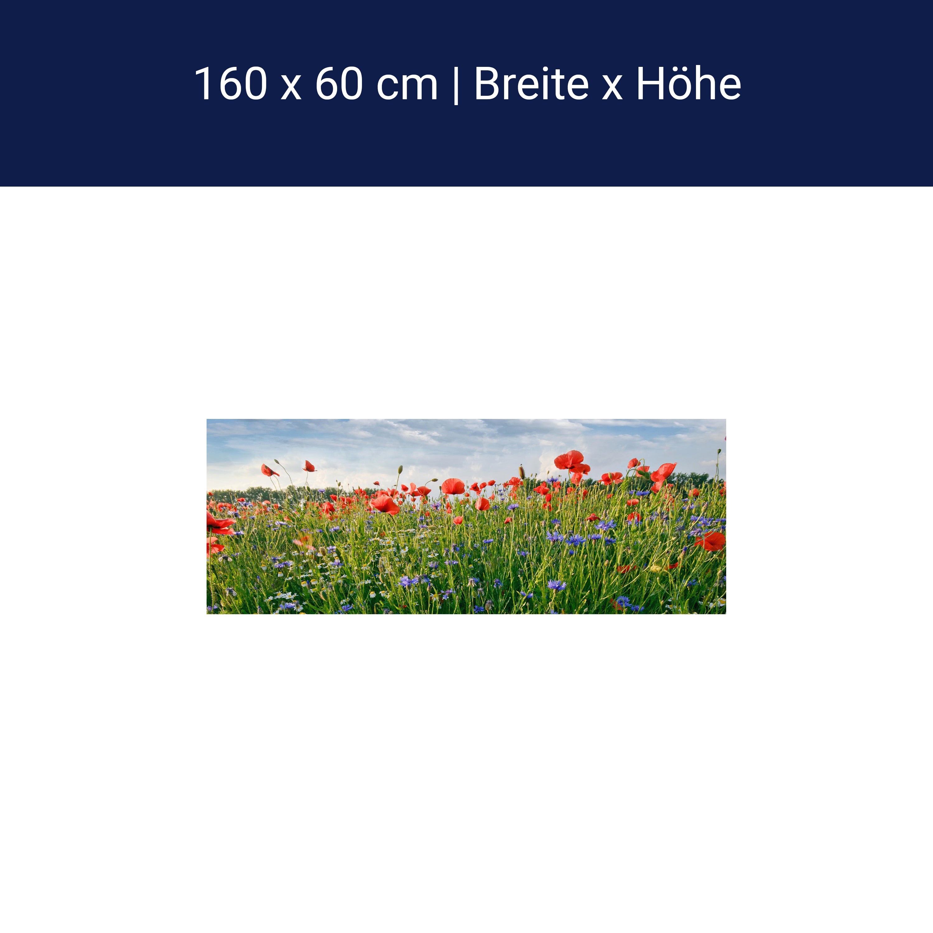 Crédence de cuisine prairie fleurie M0493