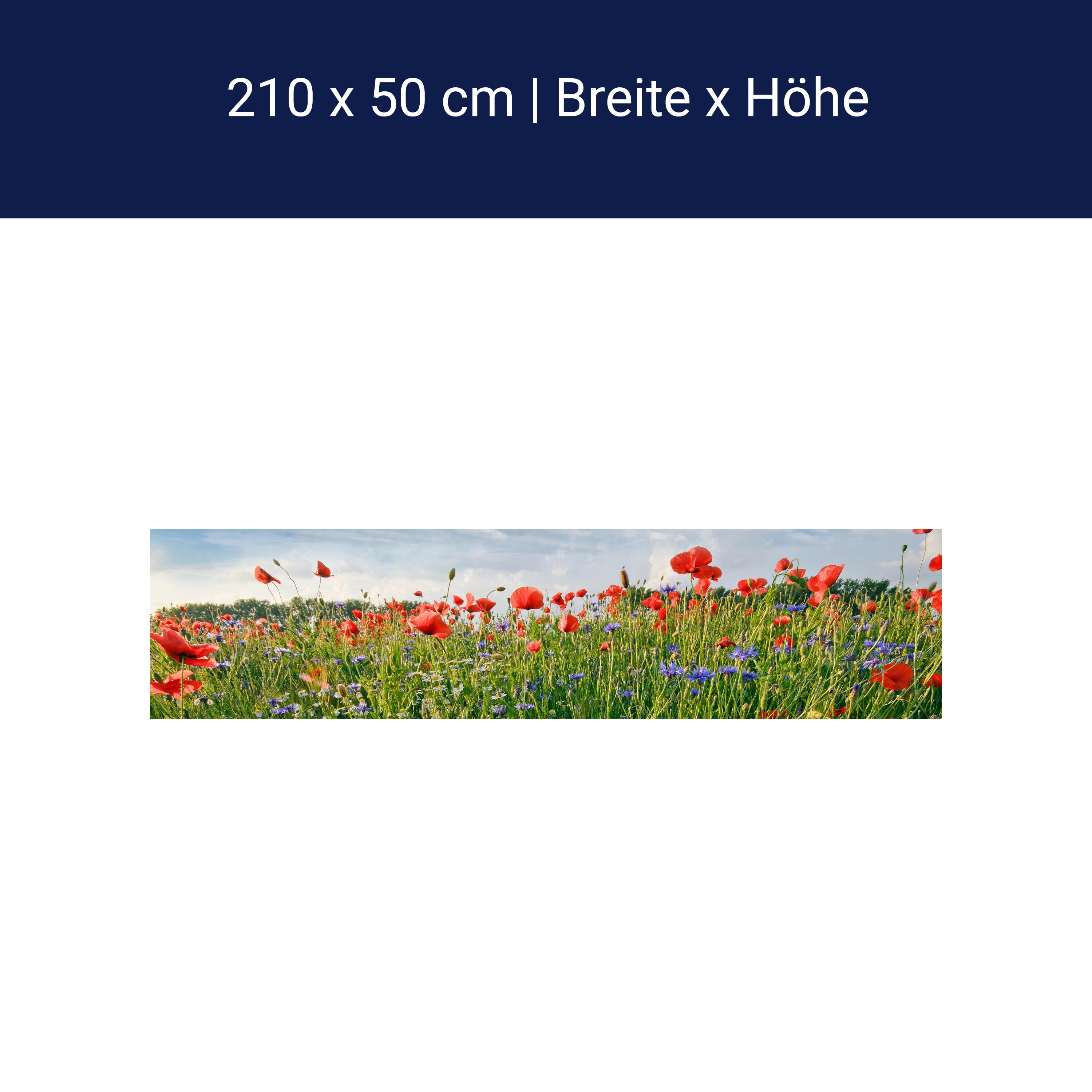 Crédence de cuisine prairie fleurie M0493