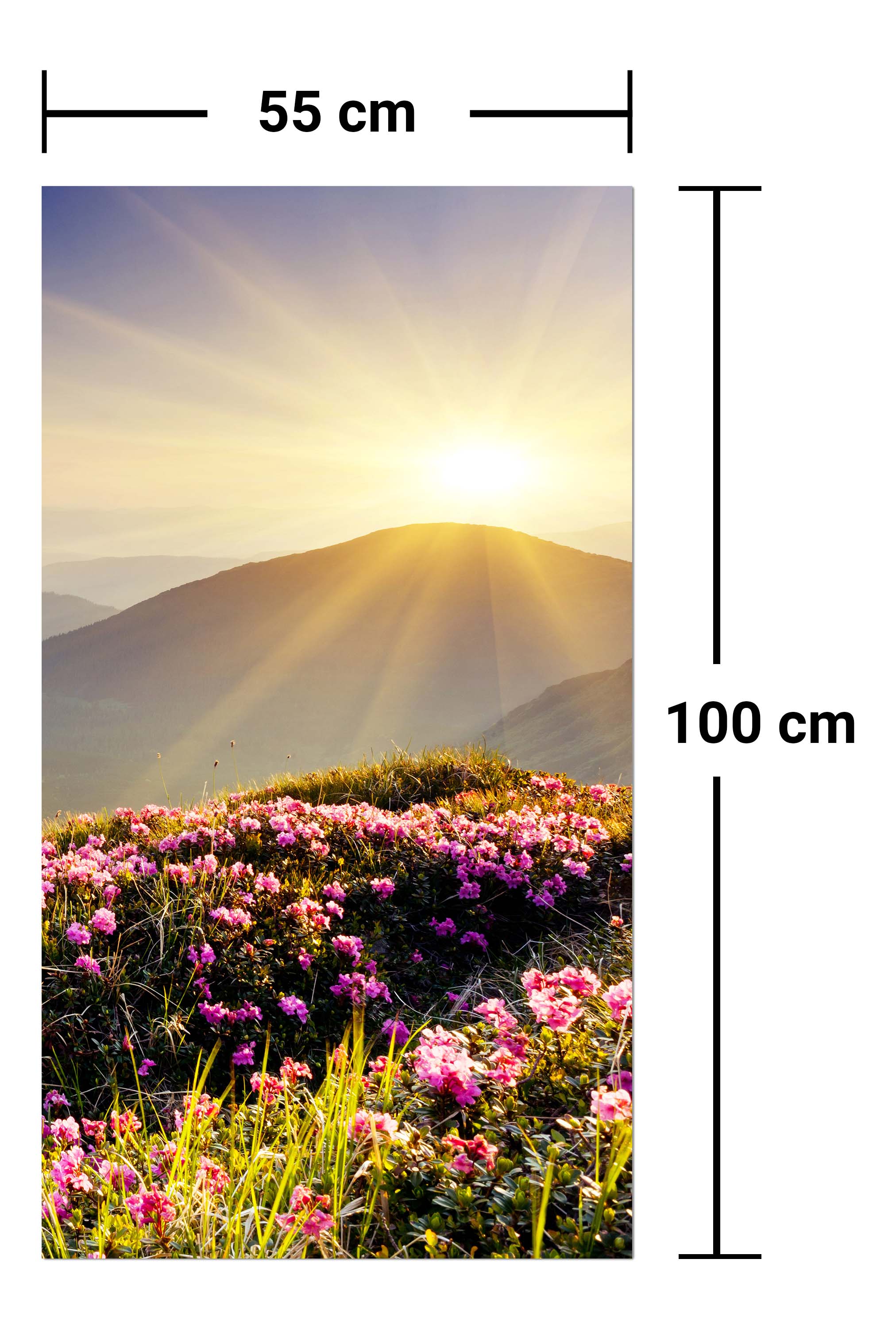 Garderobe Bergrücken im Sonnenlicht M0511 entdecken - Bild 7
