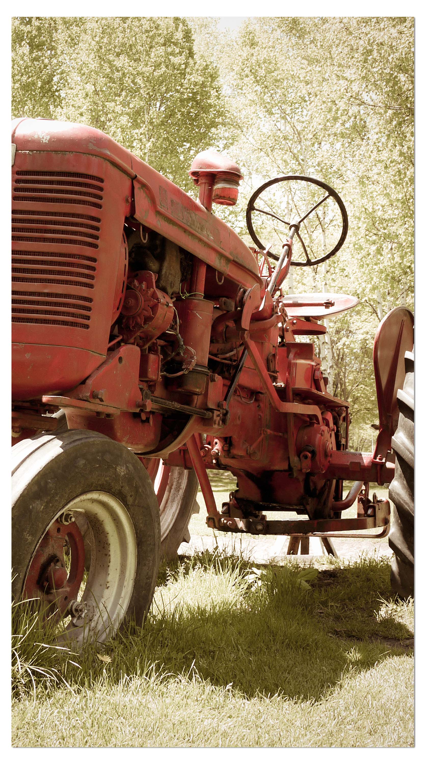 Garderobe Alter Traktor M0517 entdecken - Bild 4