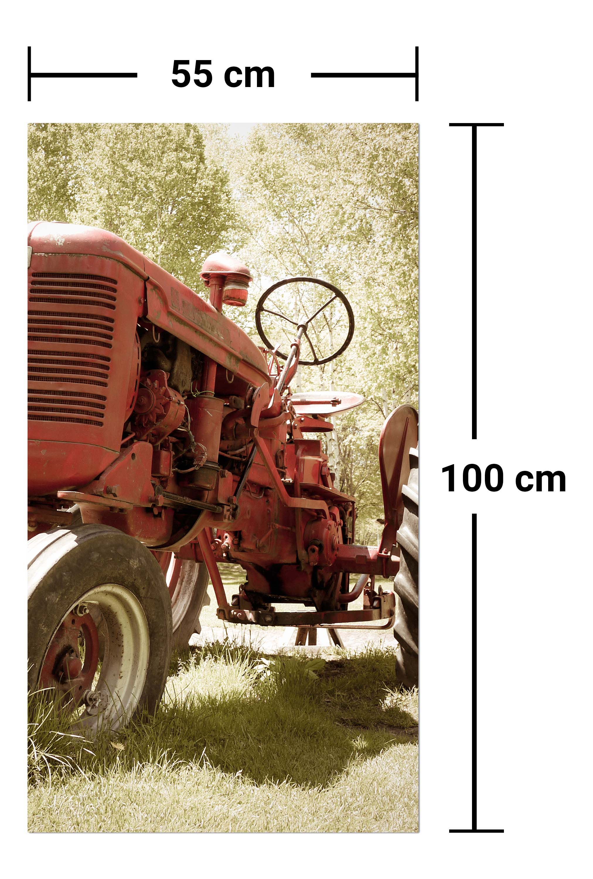 Garderobe Alter Traktor M0517 entdecken - Bild 7