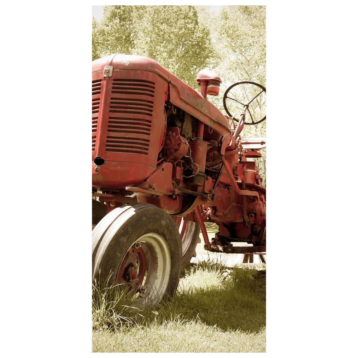Türtapete Alter Traktor M0517 - Bild 2