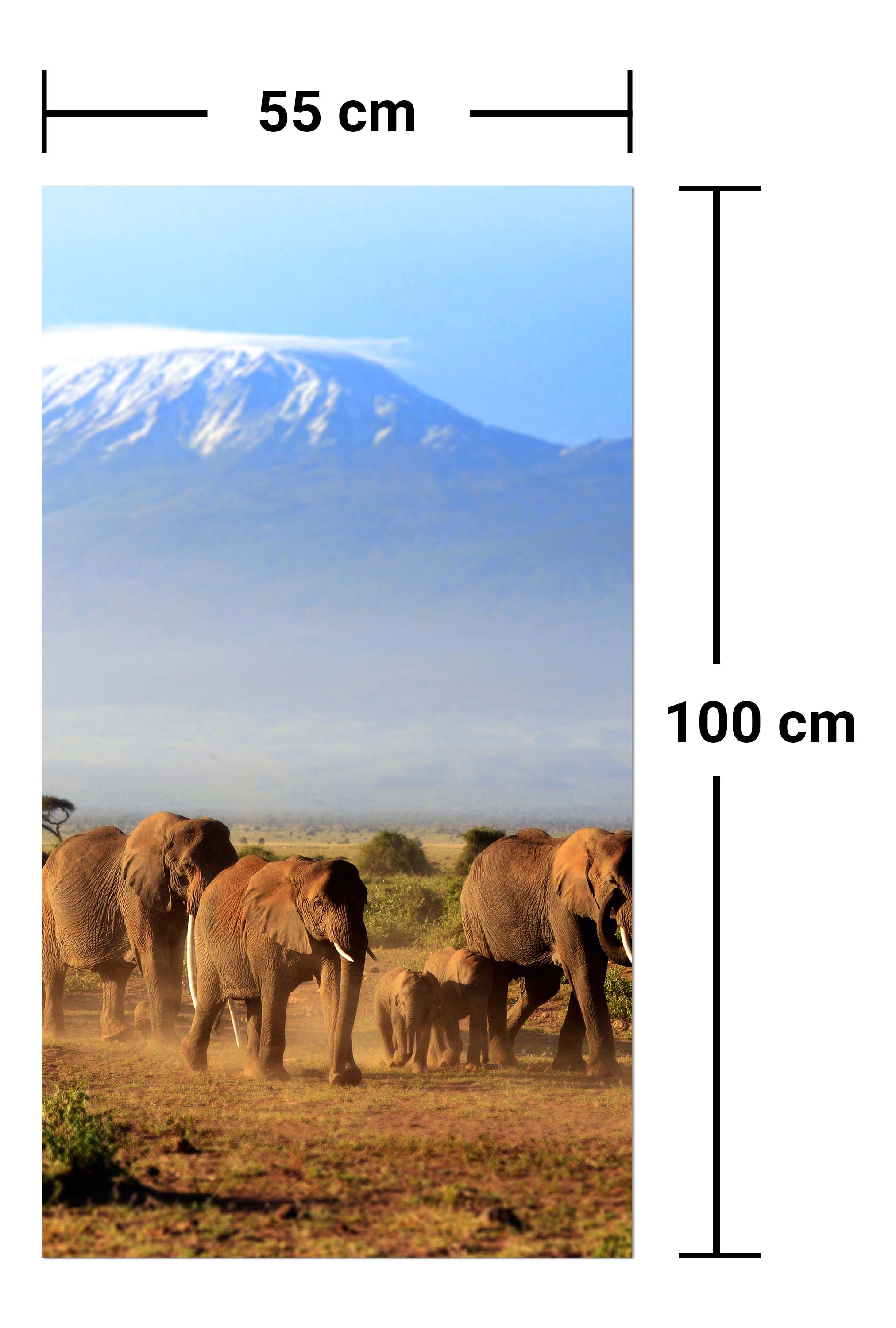 Garderobe Elefantenherde am Kilimandscharo M0522 entdecken - Bild 7