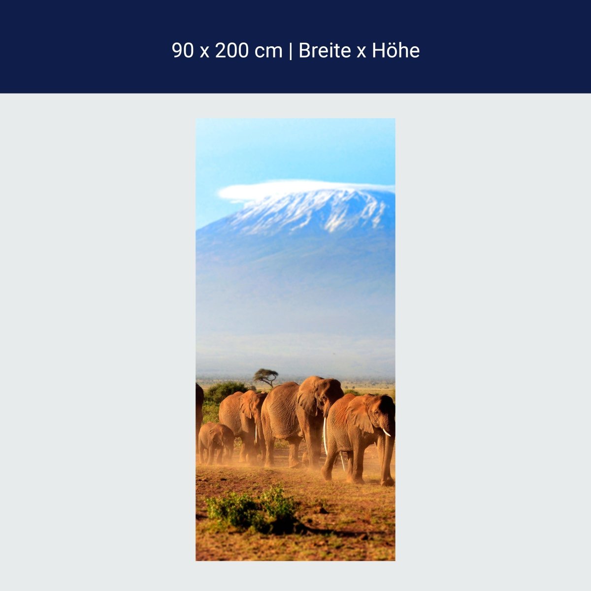 Türtapete Elefantenherde am Kilimandscharo M0522