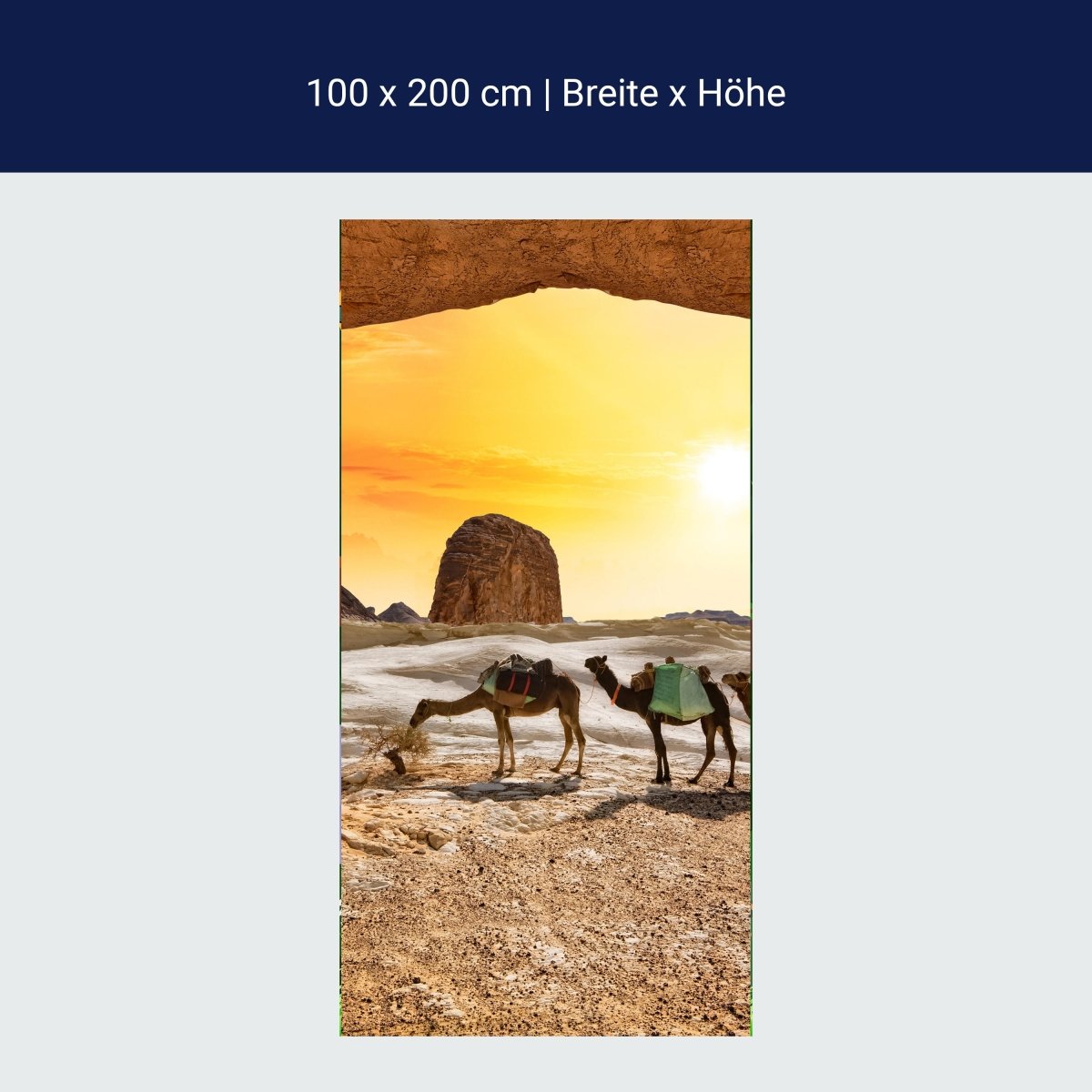 Türtapete Kamele in der Wüste M0562