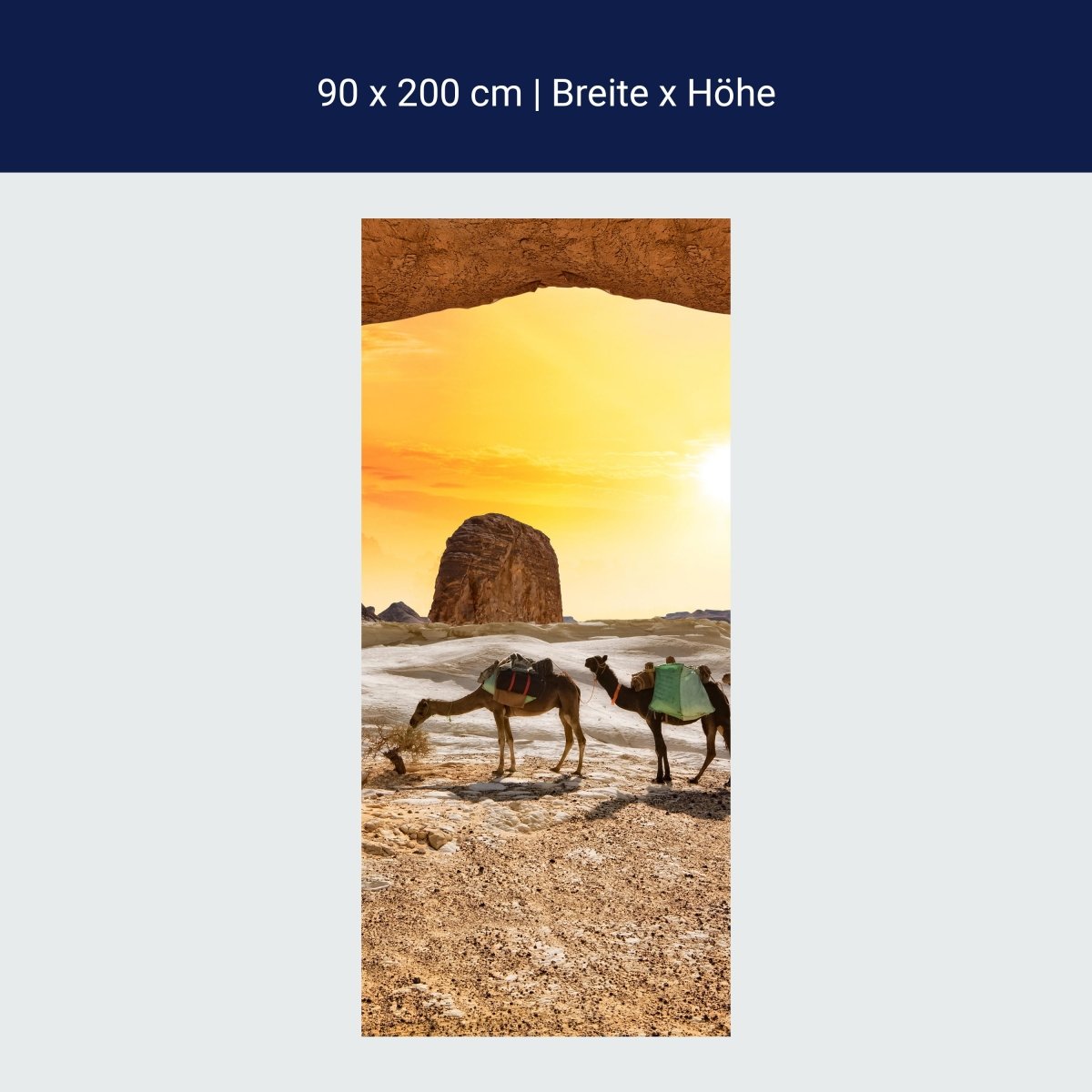Door wallpaper camels in the desert M0562