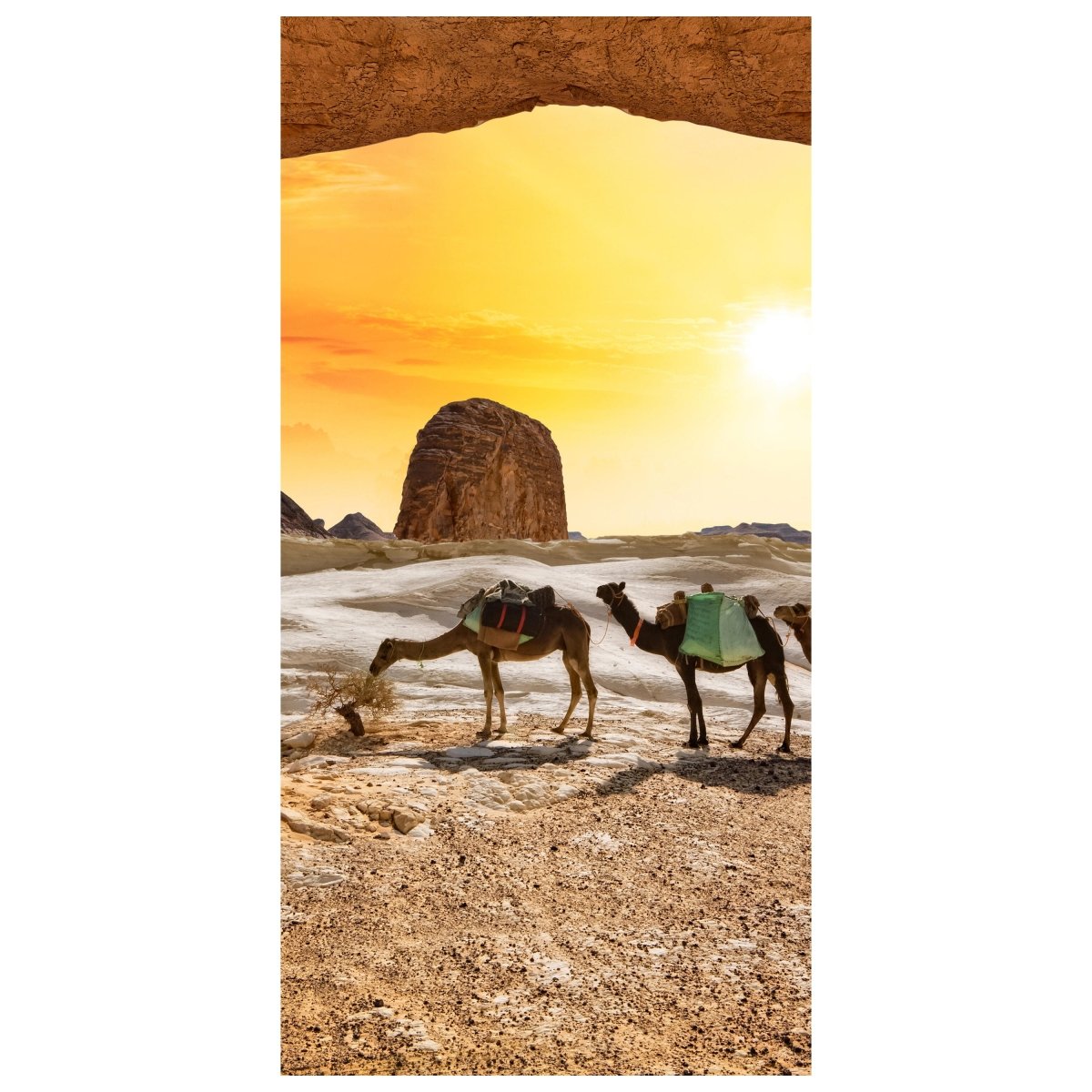Türtapete Kamele in der Wüste M0562 - Bild 2
