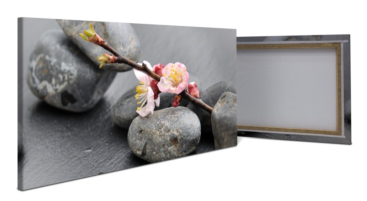 Leinwandbild Blumenast und Steine M0571 - Bild 1