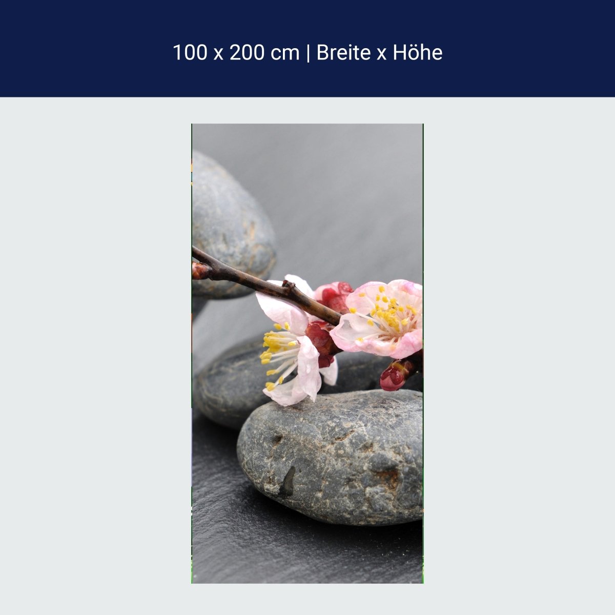 Türtapete Blumenast und Steine M0571