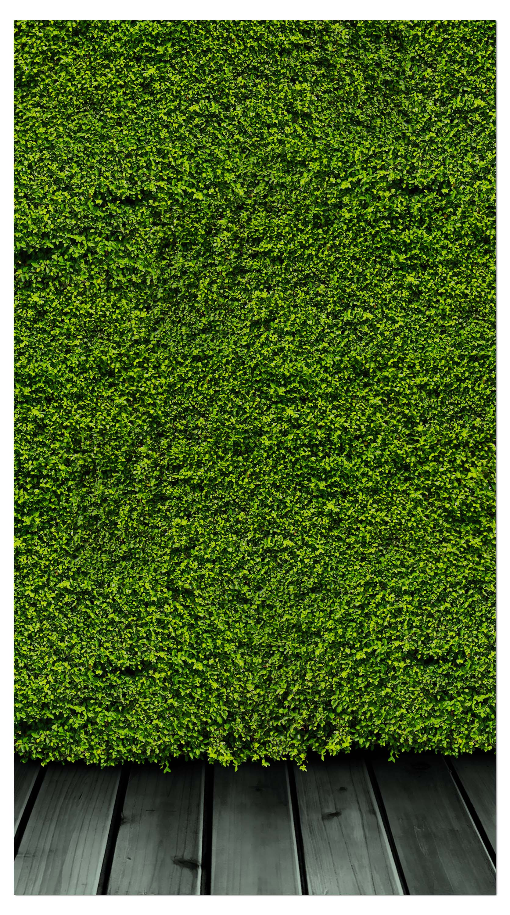 Garderobe Grüne Mauer M0572 entdecken - Bild 4