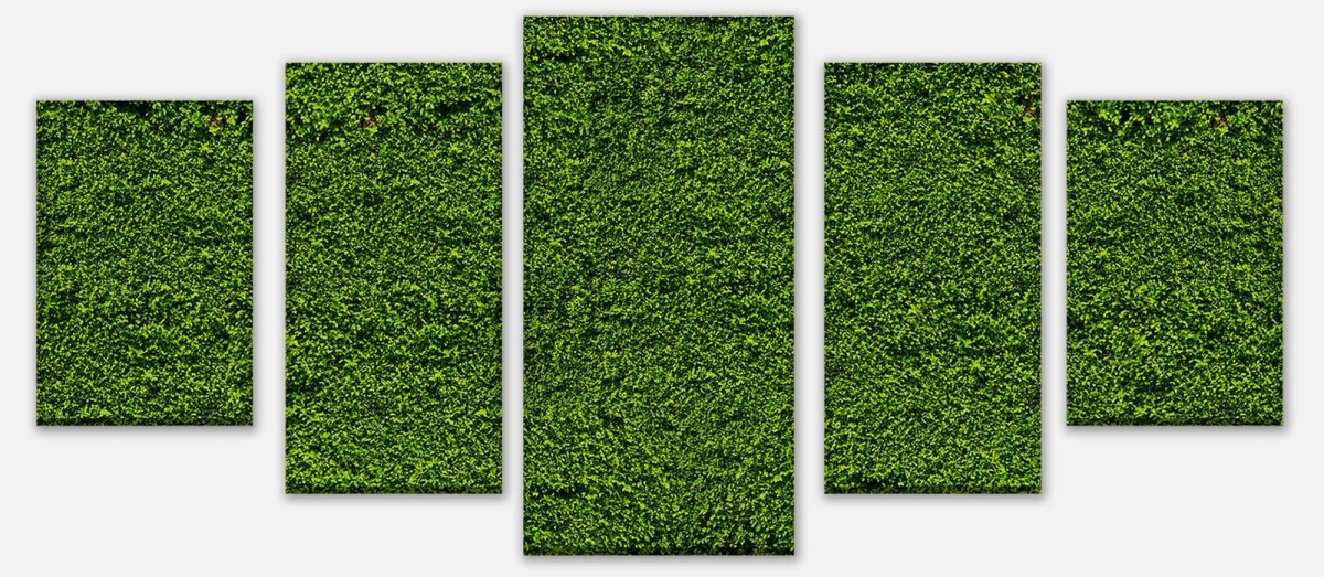 Leinwandbild Mehrteiler Grüne Mauer M0572 entdecken - Bild 1