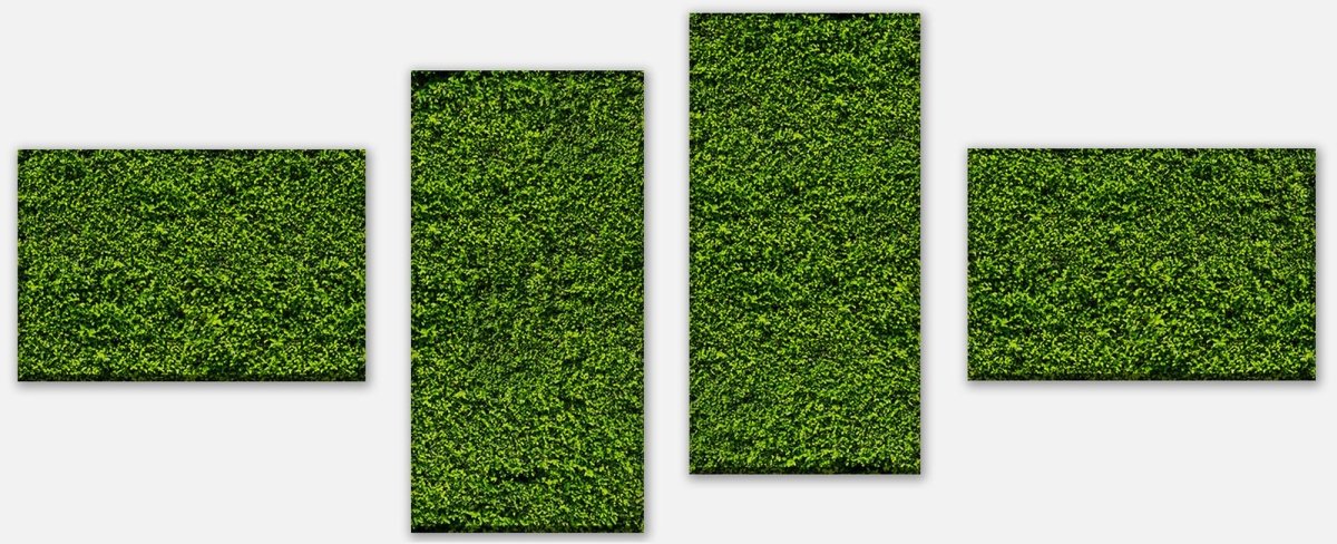 Leinwandbild Mehrteiler Grüne Mauer M0572