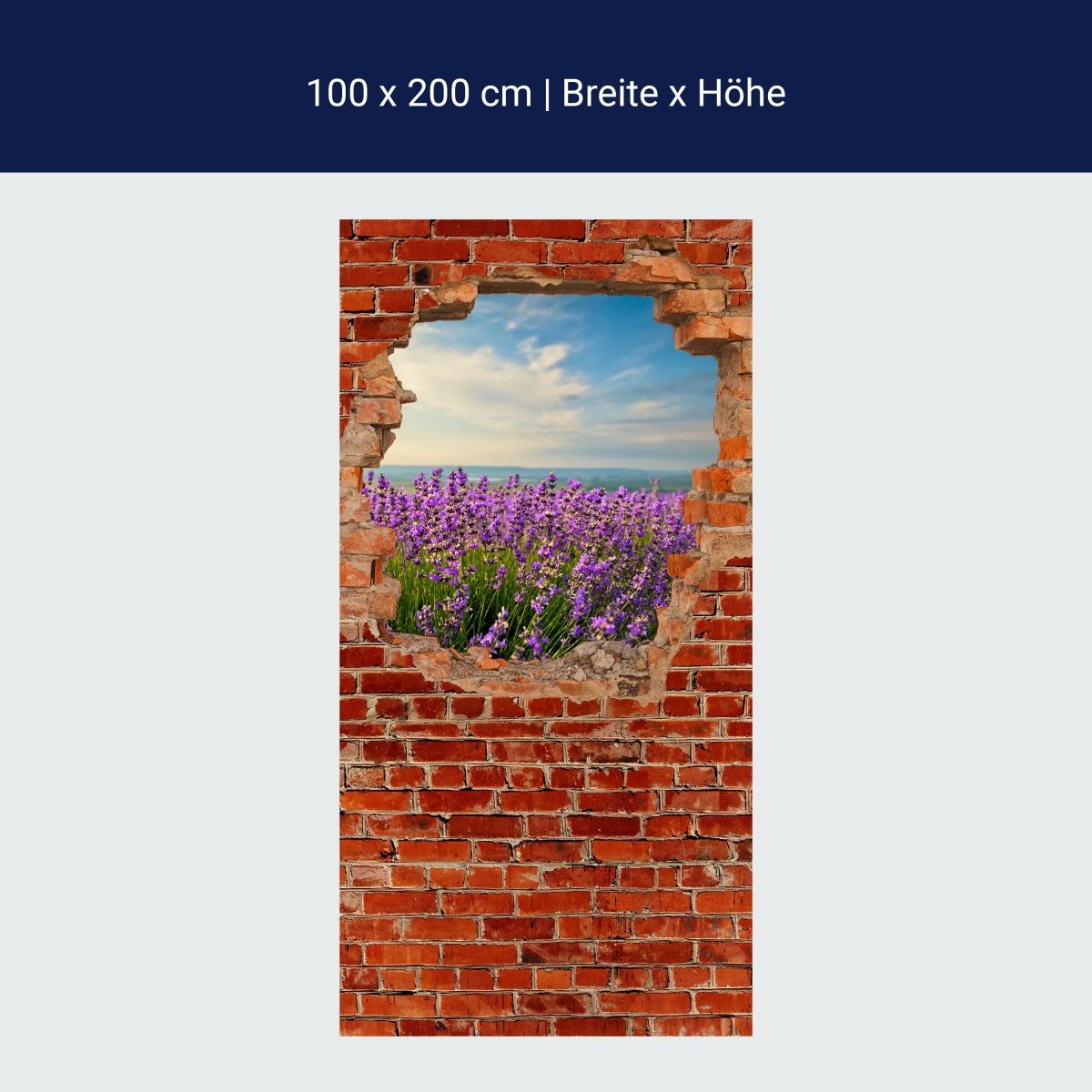 Lavender Shower Screen - Red Brick M0615