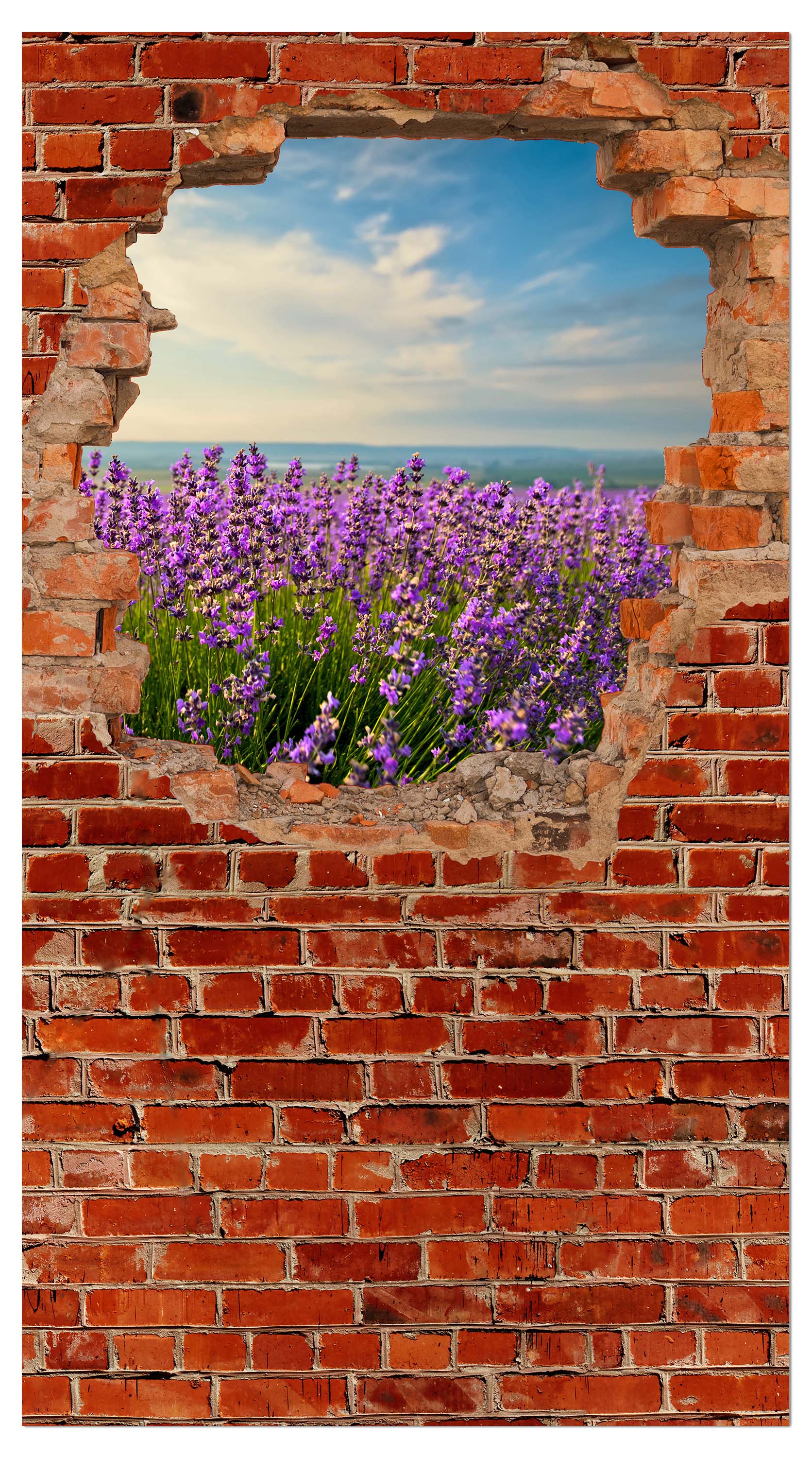 Garderobe Lavendel - Roter Backstein M0615 entdecken - Bild 4