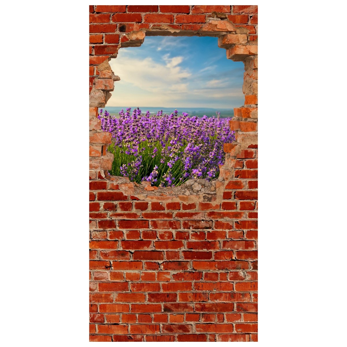 Türtapete Lavendel - Roter Backstein M0615 - Bild 2