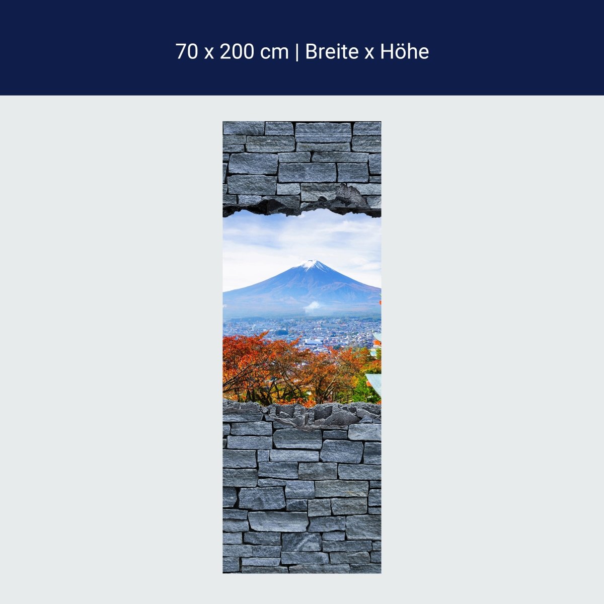 Türtapete 3D Optik -Mount Fuji-Chureito Pagoda M0622