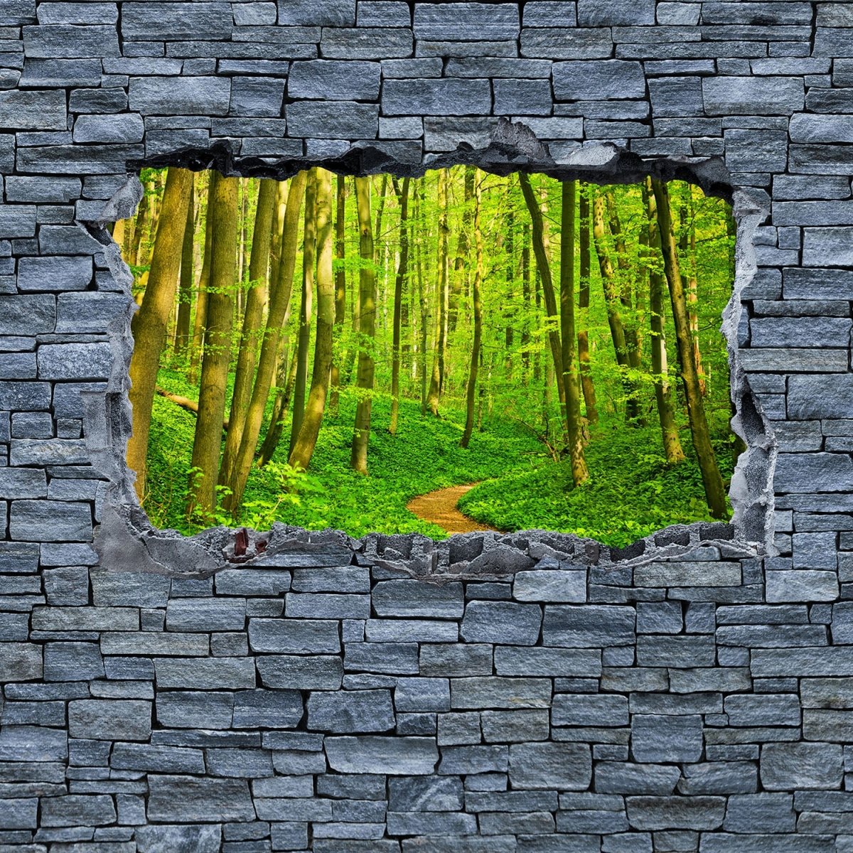 Beistelltisch 3D Weg im Wald - grobe Steinmauer M0628 entdecken - Bild 2