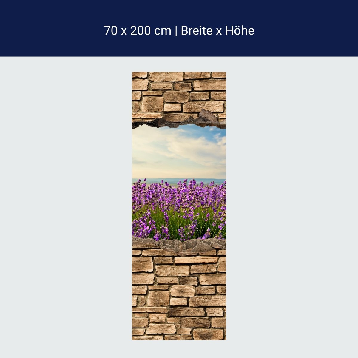 Shower screen 3D lavender field by the sea - stone wall M0663