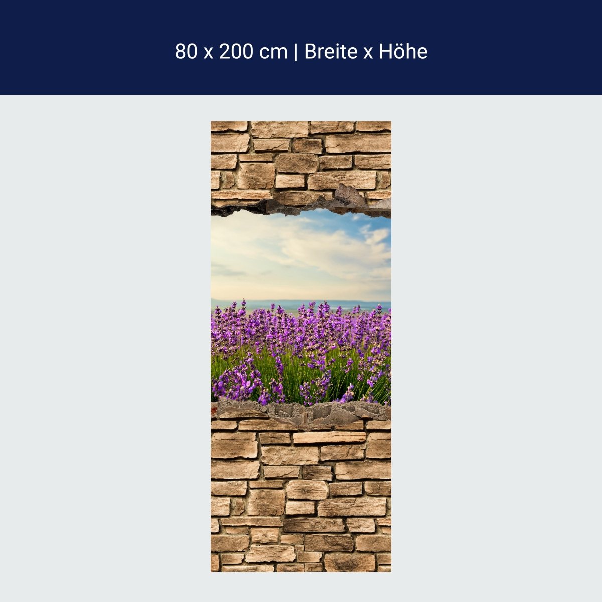 Shower screen 3D lavender field by the sea - stone wall M0663