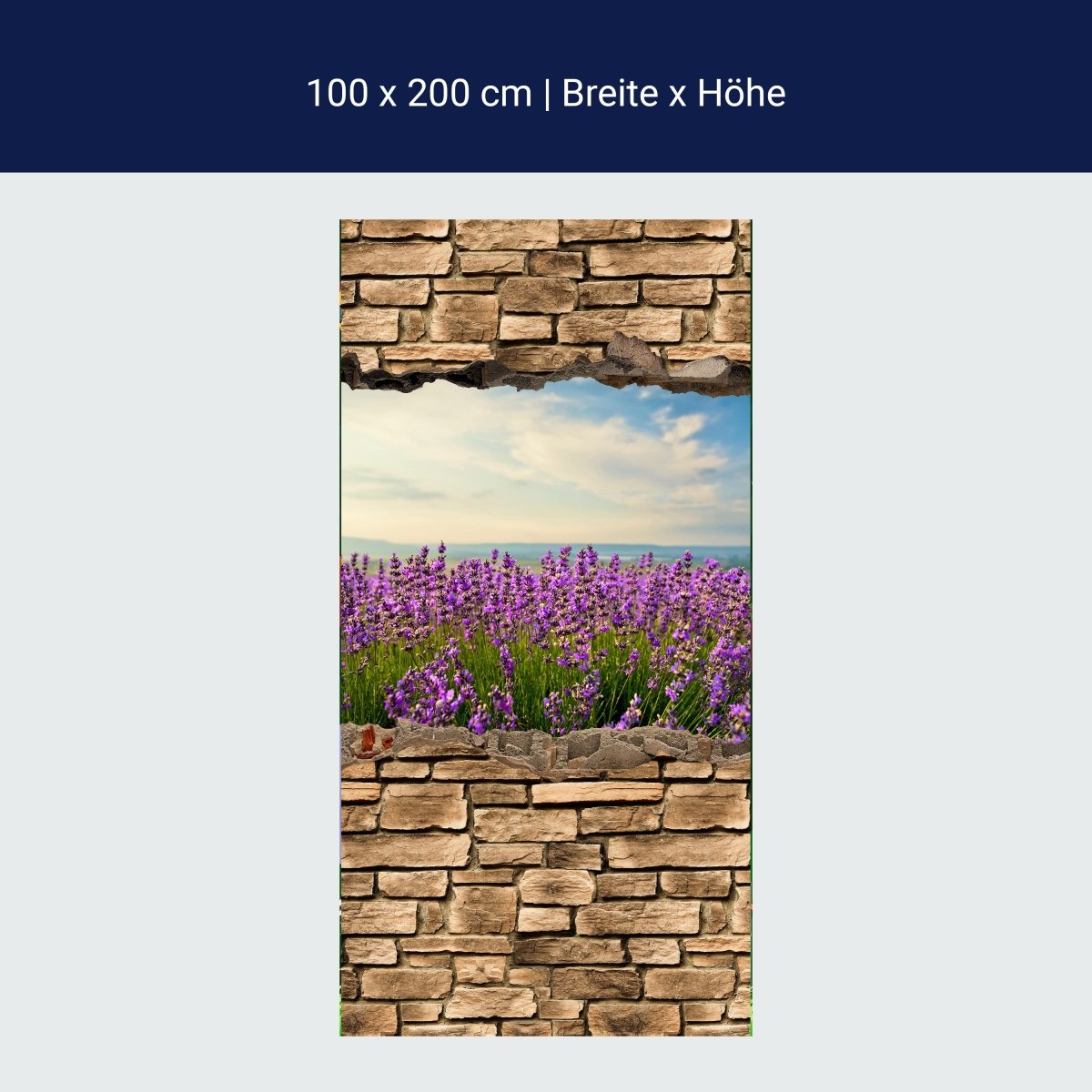 Türtapete 3D Lavendelfeld am Meer - Steinmauer M0663