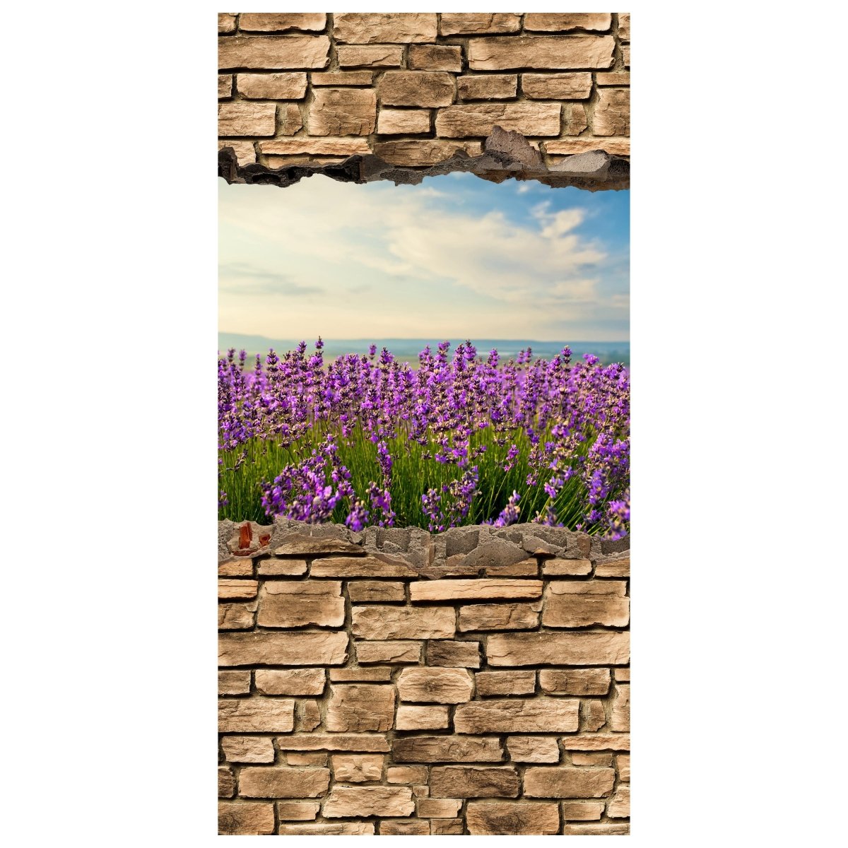 Türtapete 3D Lavendelfeld am Meer - Steinmauer M0663 - Bild 2