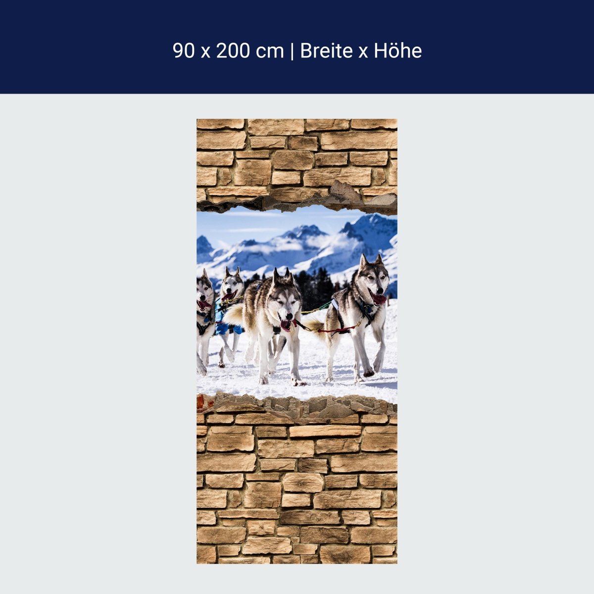 Shower Wall 3D Sled Dogs Racing - Stone Wall M0671
