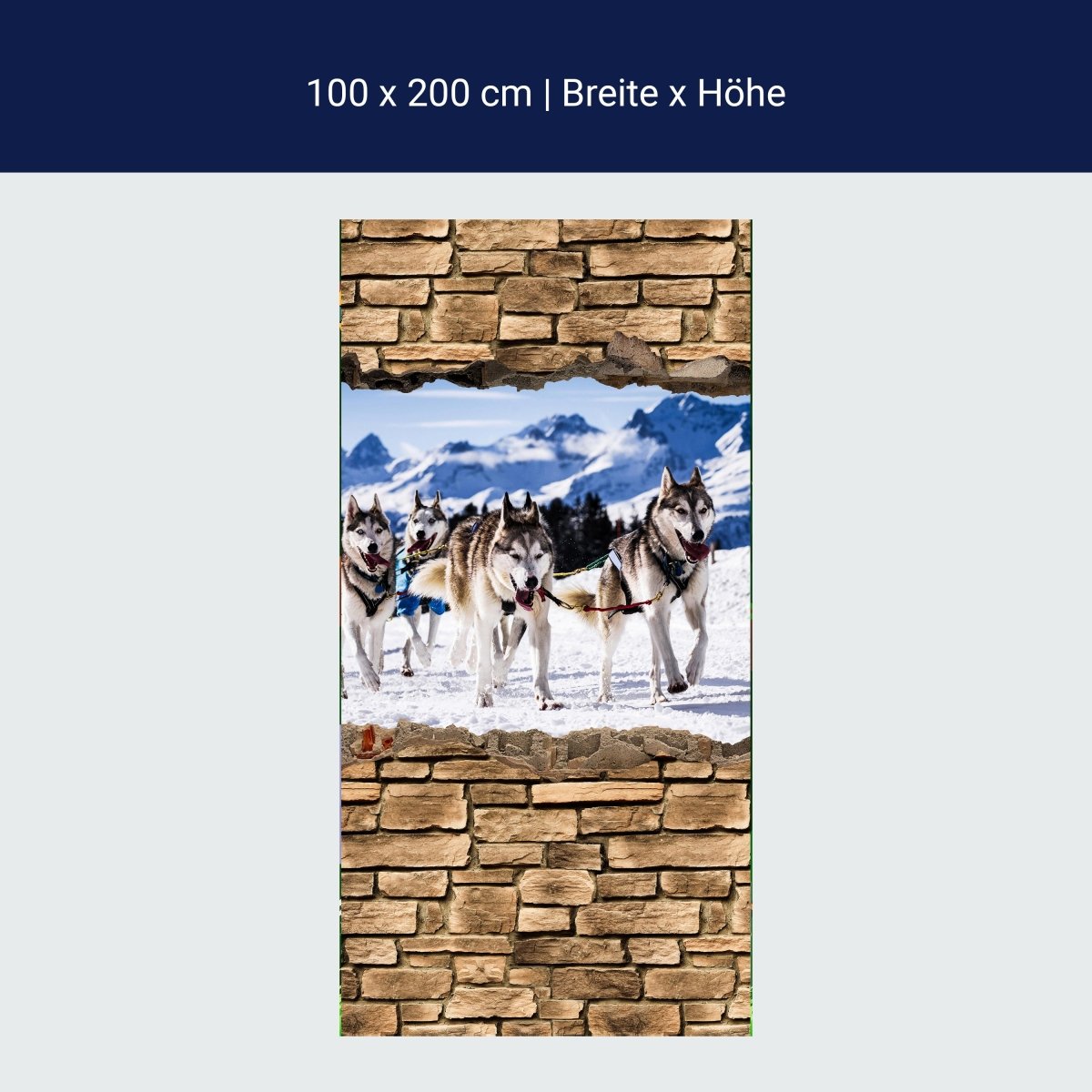 Door wallpaper 3D sled dogs racing - stone wall M0671
