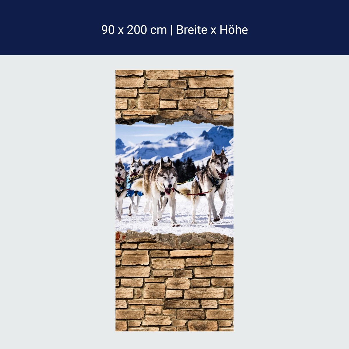 Door wallpaper 3D sled dogs racing - stone wall M0671