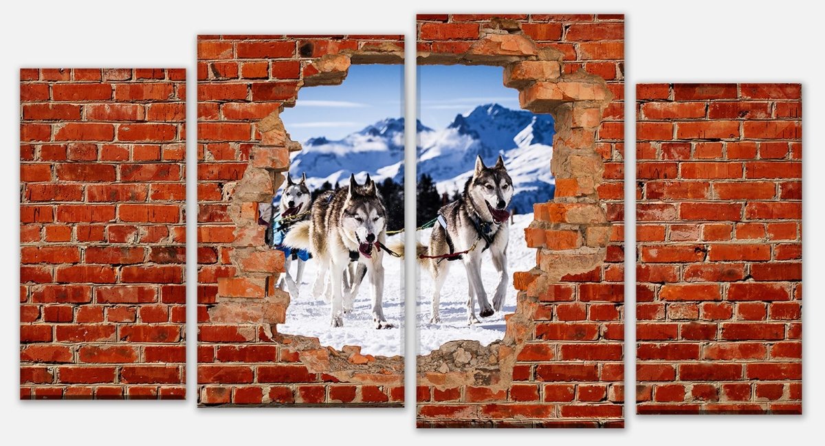 Stretched Canvas Print Sled Dogs In Racing - Red Brick M0685